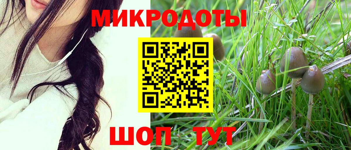 Галлюциногенные грибы ЛСД  Вход с VPN  Березники 