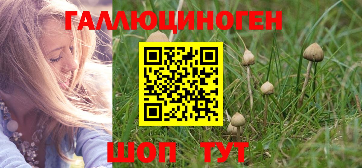 Галлюциногенные грибы Magic Shrooms Березники